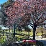 Casalpiano