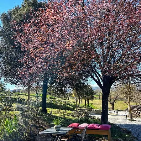 Casalpiano