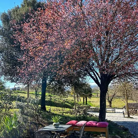 Casalpiano