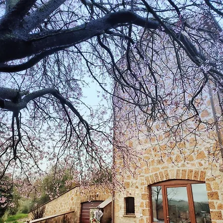 Casalpiano Κατάλυμα σε φάρμα Ορβιέτο