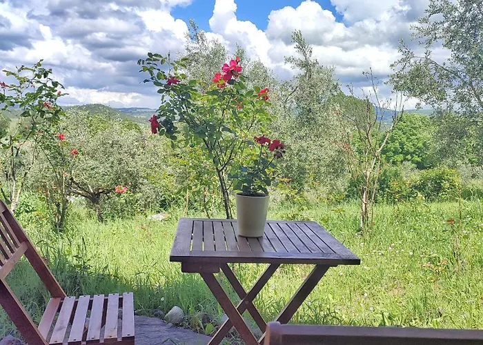 Farm stay Casalpiano *